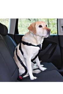Postroj pes Bezpečnostní do auta XS Trixie