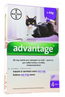 Advantage 80 10% 4x0,8ml pro kočky nad 4kg