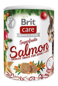 Brit Care Cat Christmas Superfruits 100 g