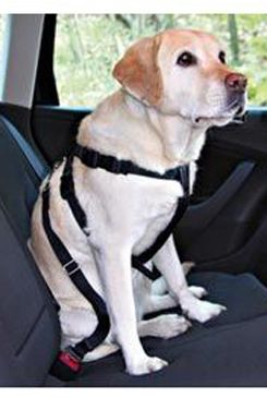 Postroj pes Bezpečnostní do auta M Trixie