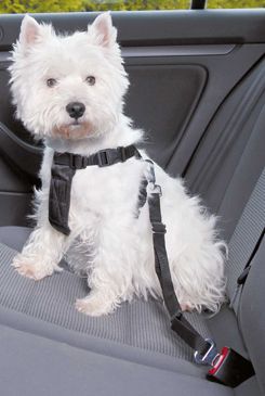 Postroj pes Bezpečnostní do auta S Trixie 