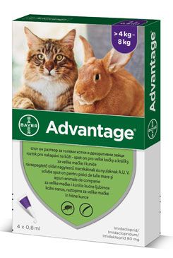 Advantage pro velké kočky a králíky 80mg 4x0,8ml