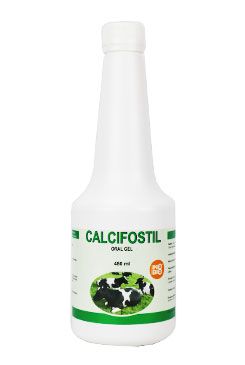 Calcifostil 480ml