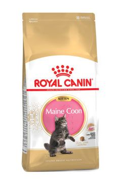 Royal Canin Breed  Feline Kitten Maine Coon 10kg