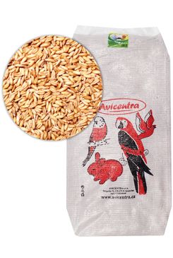 Avicentra oves nahý 25kg