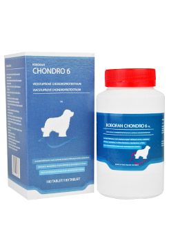 Roboran Chondro 6 pro psy 180tbl