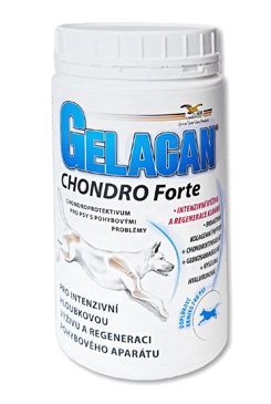 Gelacan Chondro Forte 500g
